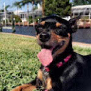 Meet your Posher, Erika